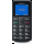 Smartfon PANASONIC KX-TU110 Czarny